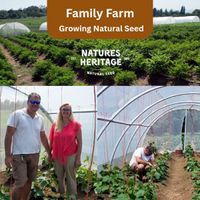 Natures Heritage 54 Variety Heritage Seed & Keepsake Box